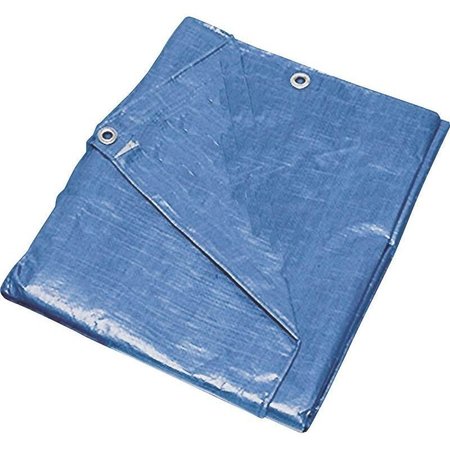 PROSOURCE 8 ft x 10 ft Medium Duty Tarp, Blue T0810BB90